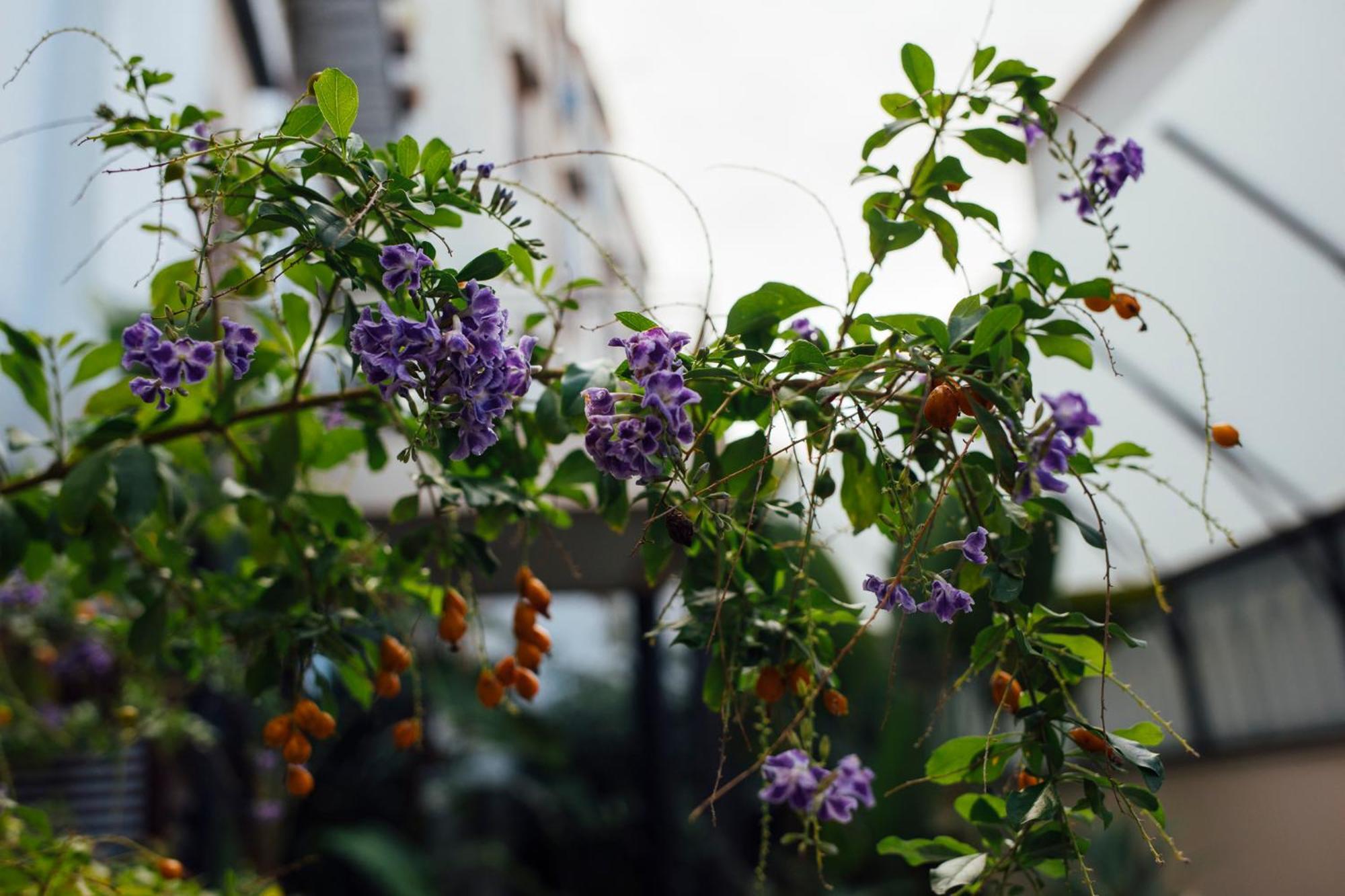 Atmosfere Puniche B&B Palermo Rum bild